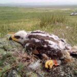 The `family-destroying` eagle: missing for a month, as soon as he appeared, he texted to `tell the house` that all of Russia's science fund was gone 3